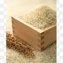 高清大米粮食摄影
