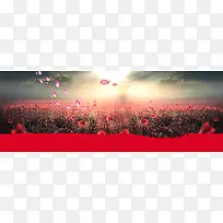 淘宝 天猫 banner 海报 背景墙