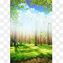 绿色森林树林风景摄影叶子合成背景素材