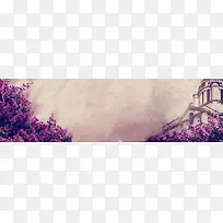 蔷薇花园背景