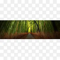 秋季上市淘宝banner壁纸