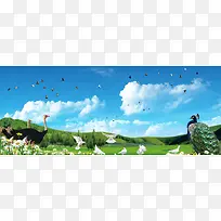 草原动物背景