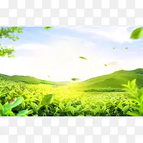蓝天白云风景草地绿地树叶漂浮叶子背景素材