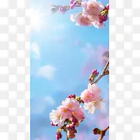 天空阳光蓝色H5背景