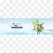 淘宝女装背景