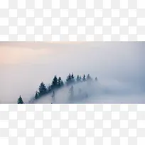 森林雾气背景