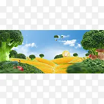 玉米蔬菜风景banner