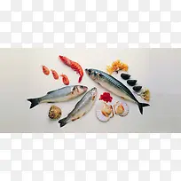 美食肉类海鲜鱼虾贝壳食品食物美味淘宝背景