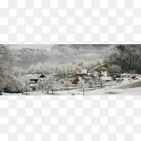 冬日树木村庄背景