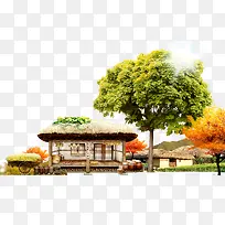秋天背景房子植物装饰