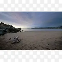 海边沙地枯木素材