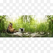 宠物松鼠绿色森林背景