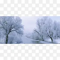 风景天空雪景白色树路背景