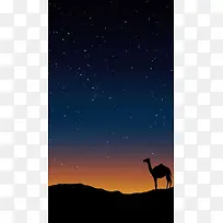 星空下孤独的骆驼H5背景素材