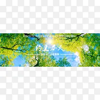 春天主题的网站banner