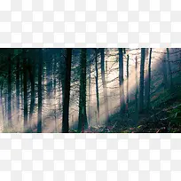 山林淘宝海报背景banner