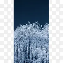 雪树背景图