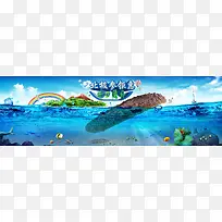 海参banner