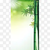 绿色清新竹子阳光H5背景素材