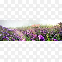 户外唯美风景图片