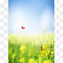 你好四月油菜花海报免费下载