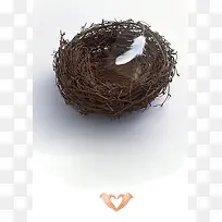 鸟巢上的白色羽毛背景素材