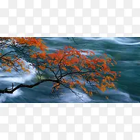 秋季枫叶河流风景背景