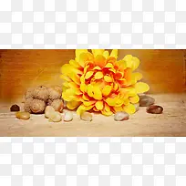 摄图网-美丽的黄色鲜花