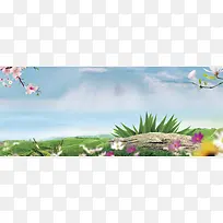电商化妆品环保清新浪漫海报banner