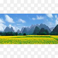 黄色油菜花盛开山区平原背景
