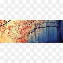 酷炫热情树林banner