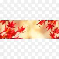 秋分节气banner设计