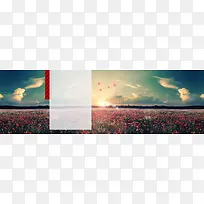 蓝天白云花海背景
