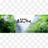 森林背景