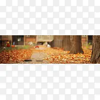 落叶的初秋海报背景