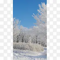 冰天雪地手机美景H5背景