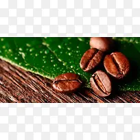 咖啡豆绿叶背景