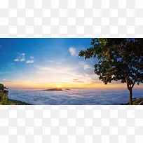 朝阳云海天空树木背景图