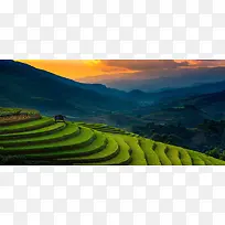 绿色的梯田背景