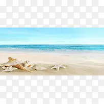 精美沙滩和贝壳背景图片