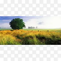 淘宝背景图