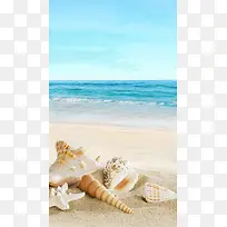 沙滩贝壳风景H5背景图片