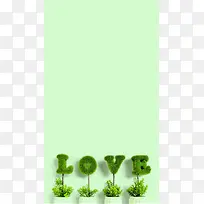 小清新简约扁平绿色植物爱护植物