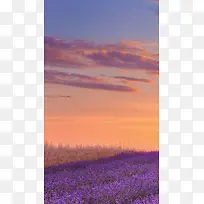 风景蓝天红云紫花H5背景素材