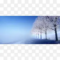 森林雪景唯美背景图