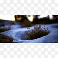 雪景夜景背景