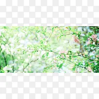 日系文艺清新桃花春色背景