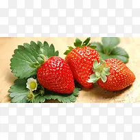 草莓水果背景