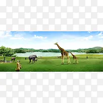 风景banner背景