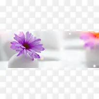 简约摄影花卉banner